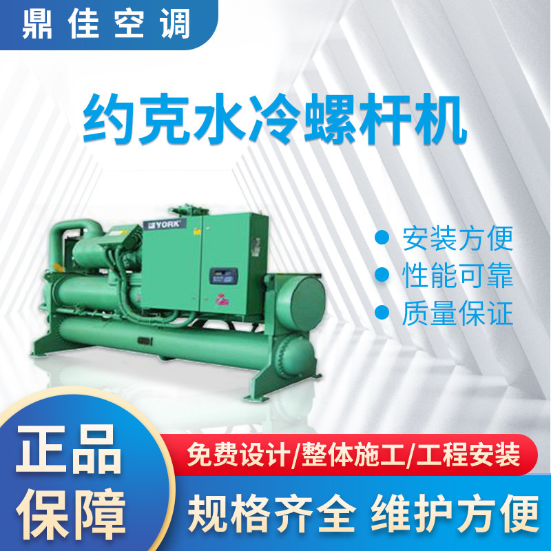 Dongguan Manufacturer York Central Air Conditioning Workshop Installation York Water Cooling Screw Machine Design Installation Engineering