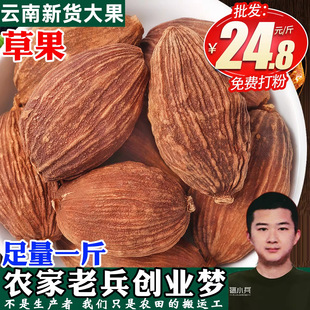 ���ϴ�ȫ�ݹ��{���uζ��ˮ��ϲݹ��������ϰ��˽ǹ�Ƥ���۰l