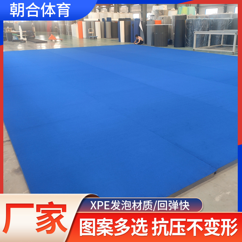 Taekwondo Boxing Martial Arts Roll Mat Dance Physical Training Sports Mat Anti-Fall Carpet Surface Fighting Roll Mat Shock Absorption