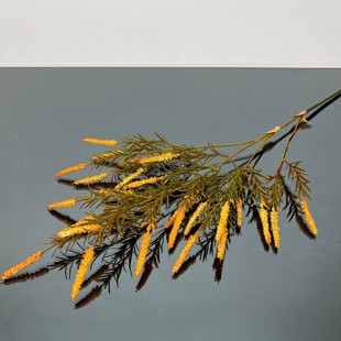 ����Wʽ�Ҿ���@�b���β�ݻ�c�������z�ٻ���ɫ���K��ֱ������