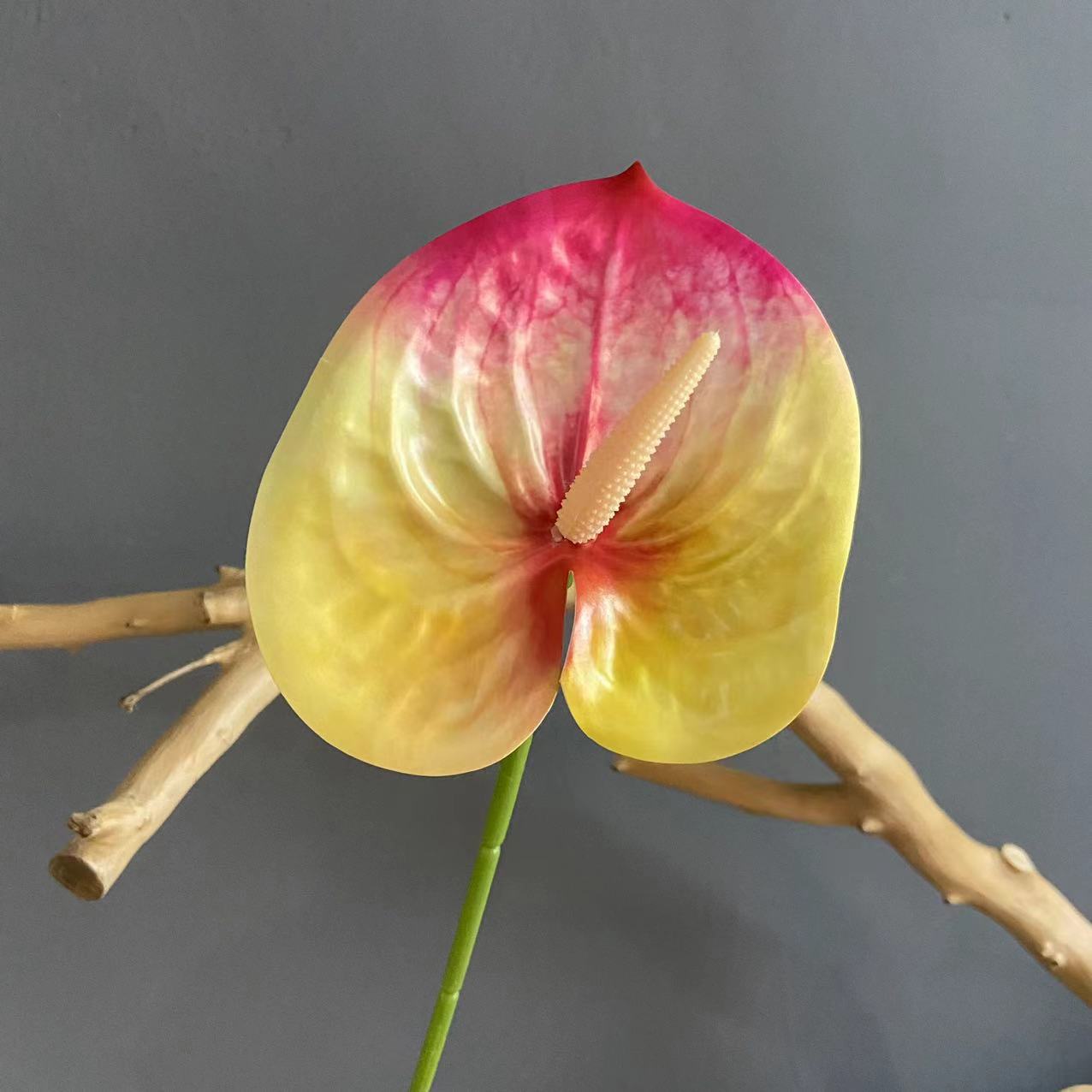 #10 (색상 당 10 스틱 픽업, 덜 쏘지 마십시오)