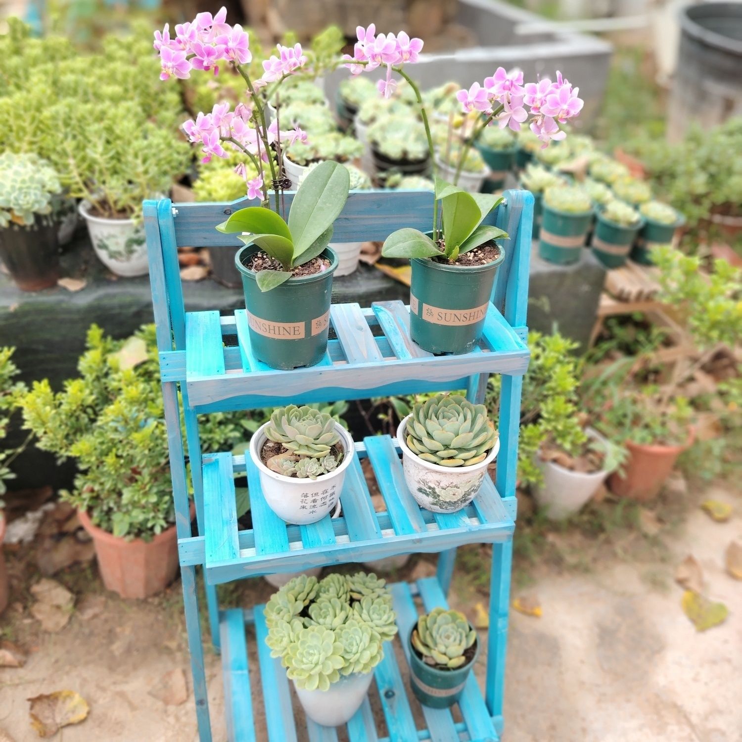 클래식 골판지 꽃 스탠드 레트로 블루