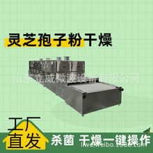 全自动微波药粉微波烘干杀菌设备流水线式灵芝孢子粉干燥灭菌机