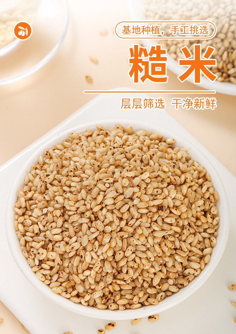 Brown Rice (Oryza sativa) — Northeast New-Crop Whole Grain for Rice Tea & Congee quality and texture