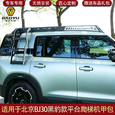 Bj30 Black Panther Model Platform: Roof rack