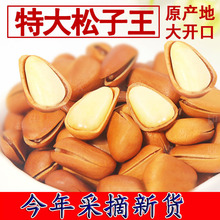 新货开口松子野生东北手剥特大松子原味孕妇坚果散装净重500g包邮