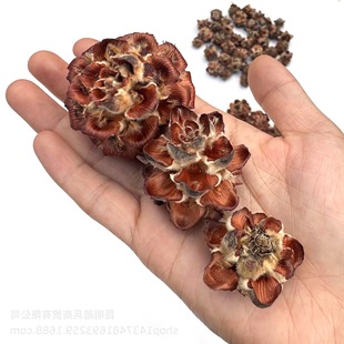 ��ľɏ�����}�Q����ɻ��ɹ�ľɏ���ɹ�