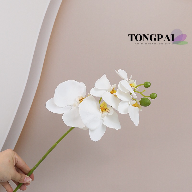 Flor Artificial sentir pegamento 5-cabeza mariposa orquídea flor artificial sola flor falsa 3D adornos de impresión transfronteriza al por mayor