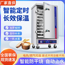 商用液化气煤气蒸饭柜天然气蒸饭车电气两用蒸箱家用蒸米饭包子机