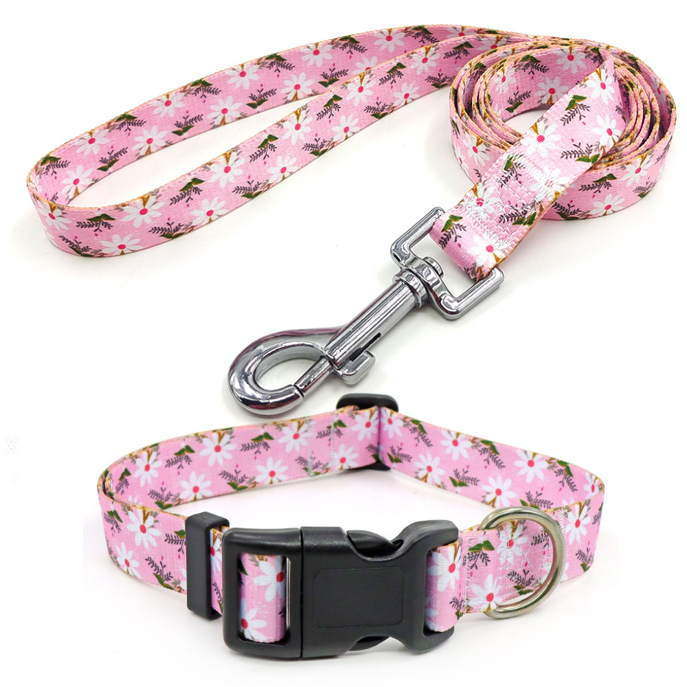 Amazon al por mayor collar de mascota corda de tracción al aire libre paseo perro collar perro collar en el viento