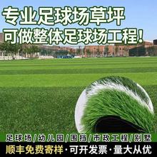 �������ƺ��������ƺ�WУ�w������5���ײ�ƺ�و����ϼٲ��w��
