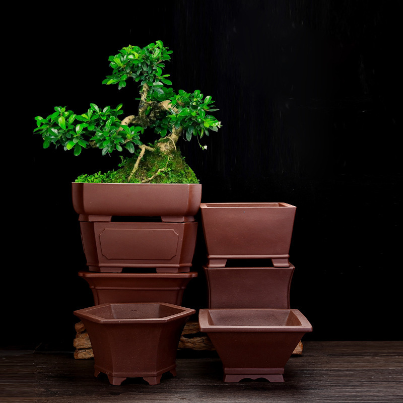 Yixing purple sand flower pot desktop square bonsai banyan tree old pile green planting phalaenopsis clivia lily flowers wholesale