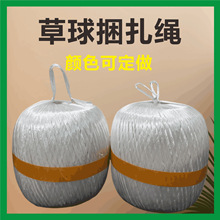 �S���K�����l��������Ͼ���������������P����˺������������