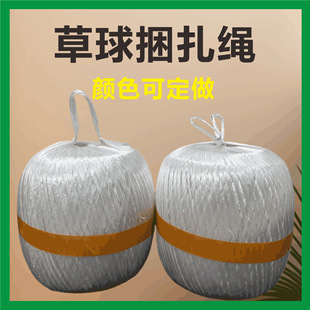 �S���K�����l��������Ͼ���������������P����˺������������