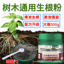 ��ľͨ���������r�Ï����������焩��������Һ����Ǥ��ͨ��ˮ�ܷ�