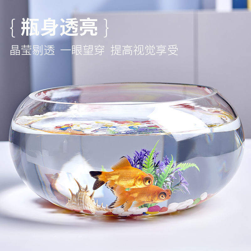 オフィスの小さな水槽は透明なガラスの亀のかめの客間の家庭のデスクトップの円形のミニ金魚鉢を厚くして小型です。|undefined