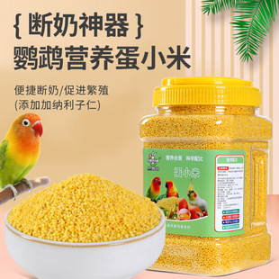 中筒运动休闲袜