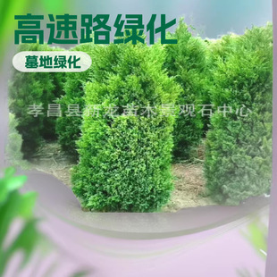 ��������·�ðؘ���Ĺ���ðؘ乫Ĺ�ؘ�P��������u�ؘ���ľ