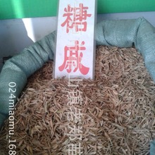 lʘN~ʃѲͺľNѿyʘN