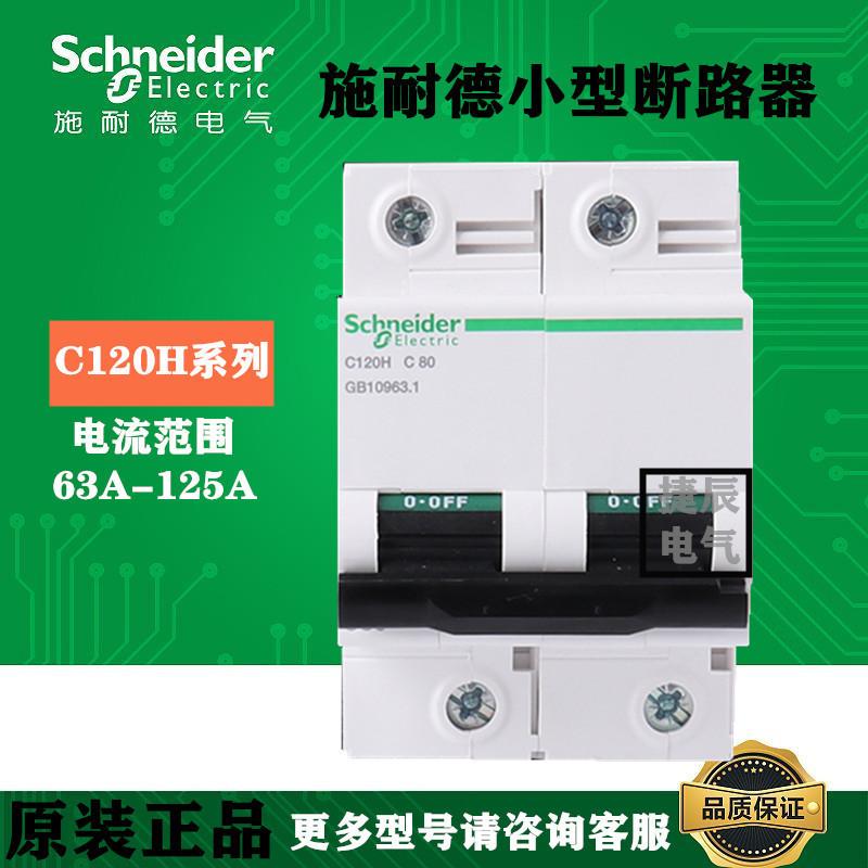 原厂正品小型空气开关断路器C120H  2P  D100A  A9N19821