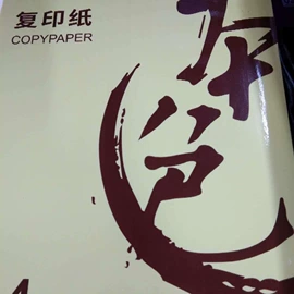 凭证报表单据;烫印膜;打印纸