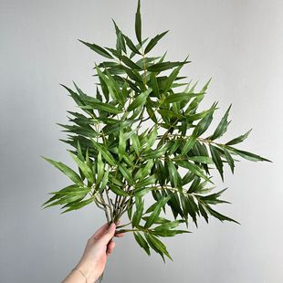 ����٘�֦diy�ֹ������~������ʮ�󹦄ھ��^��֦�@�־G���b�