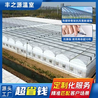 定制连栋大棚蔬菜水果温室花卉暖棚养植栽培钢架农业遮阳遮阴大棚