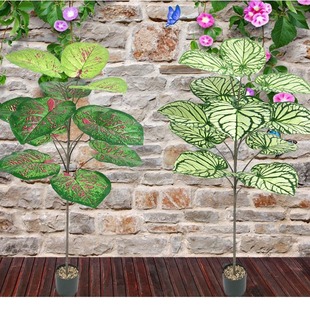 ���l���滨�~��1.2M������ؾGֲ����ֲ����~���҃����쾰�߷���