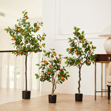 ӘGֲԷ  羳RdҾӔ[߼٘