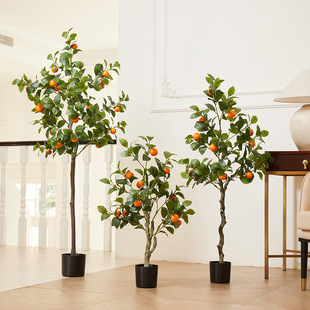 �������Ә����Gֲ���Է����  �羳���R�d�ҾӔ[�����߼٘�