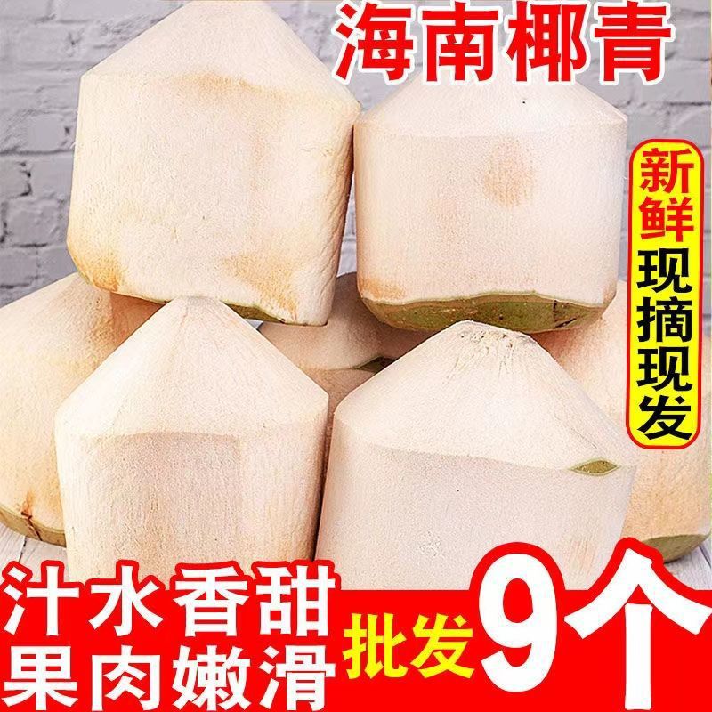 椰子果海南椰青新鲜孕妇当季水果特产椰汁椰肉2/4/6/9个现摘发