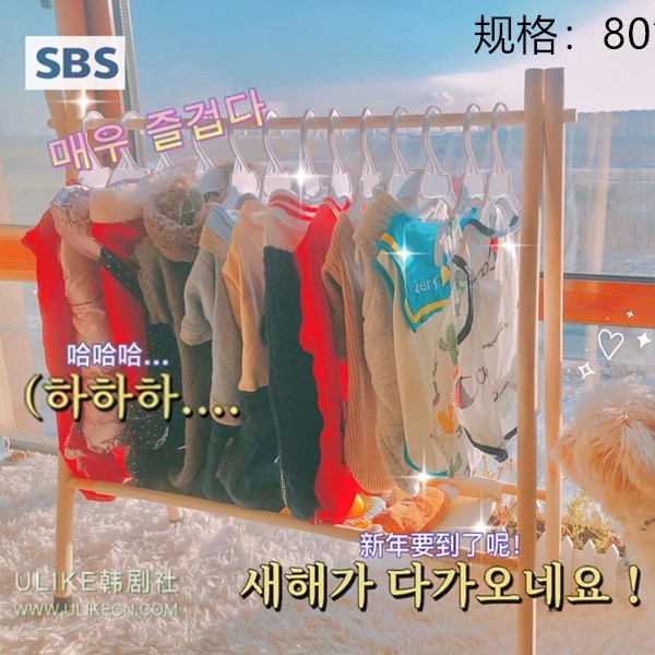 ペットハンガー洋服掛け洋服掛け床置き式犬犬たんす木収納棚二重a字バーベキュー棚|undefined