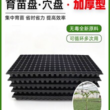 ����PѨ�P�бP��������P���������P�߲˺�������Ӻ����������P