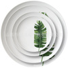 Cross -border wholesale wedding plate western restaurant bone porcelain bull steak tableware set ceramic dish dessert plate