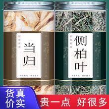 当归侧柏叶组合正品中药材组合茶则柏叶侧白叶页泡茶泡水喝的和加