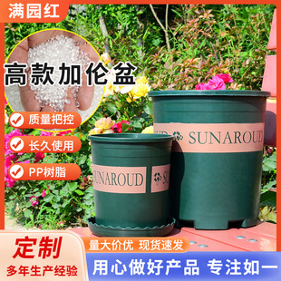 �A�����ϻ���Ӂ����軨����������ϼӺ�G�}�����¼�pp��֬����