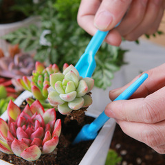 Factory direct selling gardening tools four-piece set succulent seedling transplanter hole punch gardening supplies paving spoon