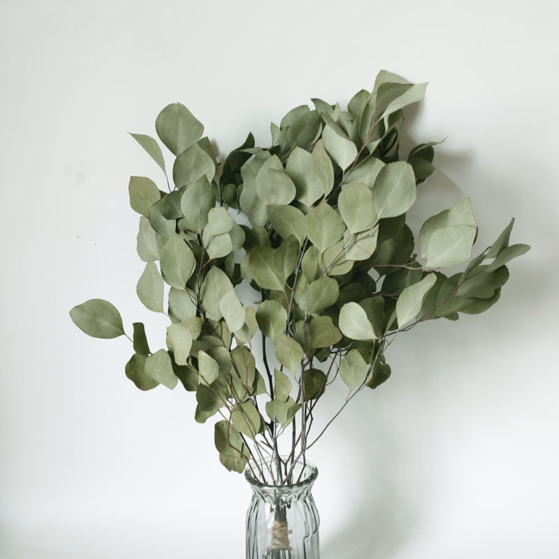 Flor seca Flor eterna Gypsophila Bola de oro No me olvides Flor seca Rosa hoja de eucalipto Pine Fruit Lover Grass al por mayor