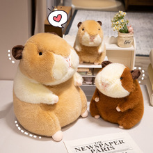 �羳��������żë����߿�Ƥ�������в�������˯������żˮ�౧��