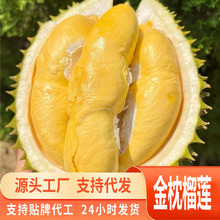 Դ�^һ�����l̩��������ɏ���r��ɏܛŴ��������^��ɏˮ��