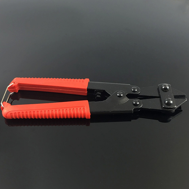 8103769801_1546073196