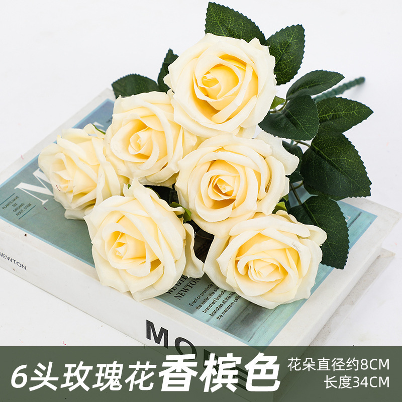 6 cabezas de champán rosa