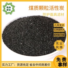 ���� �o�mú�|�w������̿����������w��̿�V���^�V���w��̼