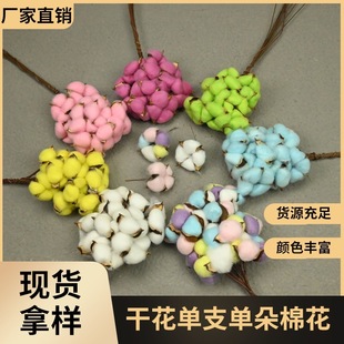 �û��ɻ��޻�10֧/��������diy��Ʒ�Y�л����̎����ķ��滨�����l
