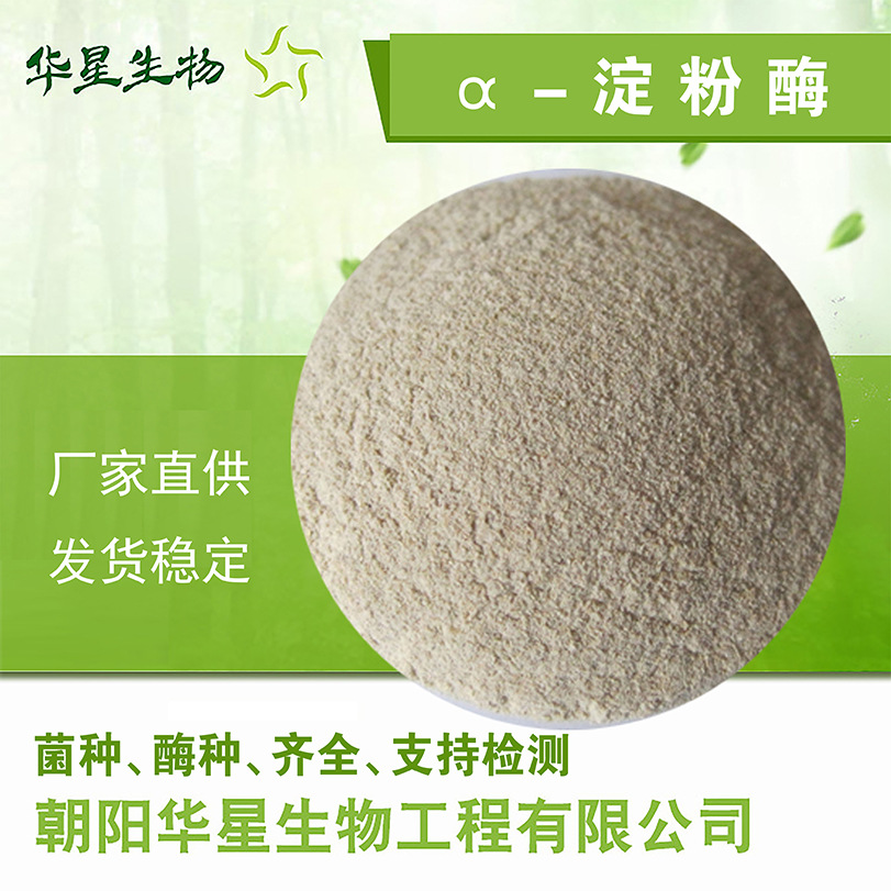 华星生物淀粉酶 阿尔法1万2万GB酶活 淀粉酶生物酶制剂 厂家