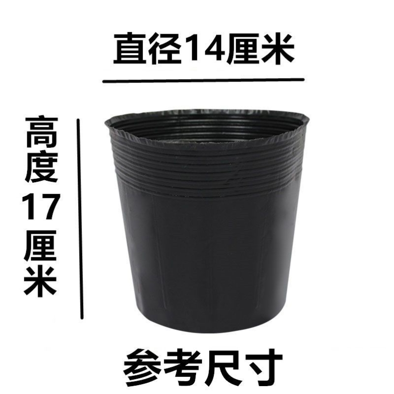 15*18 (diameter 14 and height 17) 100 pieces