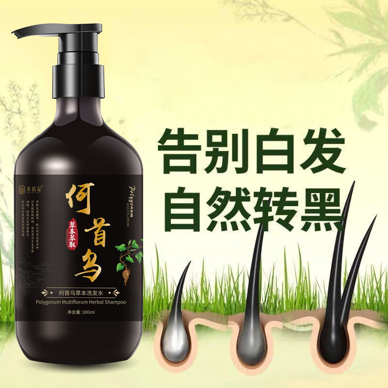 Factory Direct Sales Duobeko Polygonum Multiflorum Herbal Black Hair Shampoo White Hair Root Treatment Turns Black and Shiny Hair