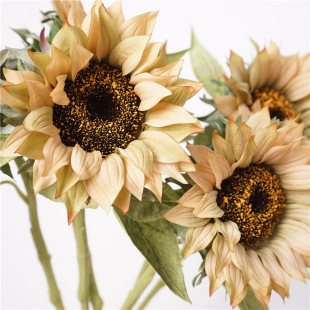 �¿��ָб����ͮ����տ����滨�Ҿ��b廨�[��ˇ�g���}�L�b�Ʒ