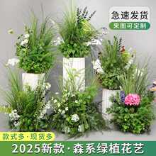 ?�쾰��ˇɭϵ�������Gֲ�����b�Y���üٻ���c����