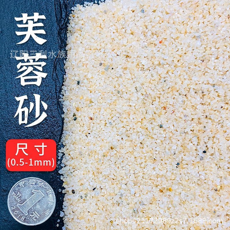0.5kg 히비스커스 모래(0.5-1mm)